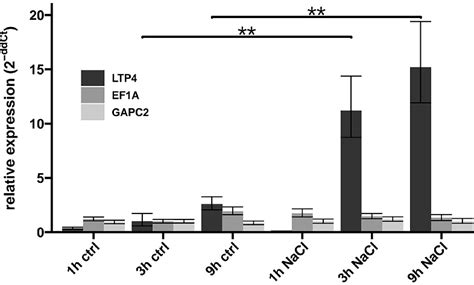 Distinct Role Of Subunits Of The Arabidopsis RNA Polymerase II