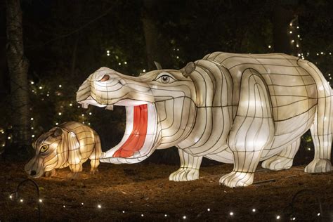 Cincinnati Zoo ranked No. 1 for holiday lights by USA TODAY's 10Best