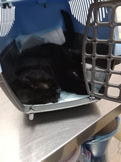 IMG 56f9820441ae0e0bbdda0a13b376ff36 V — Postimages 