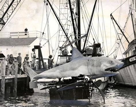 June 2 1977 The Shark For The Movie Jaws Ii Arrived On Marthas