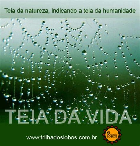 Teia Da Vida Desktop Screenshot Nature Messages Two Wolves