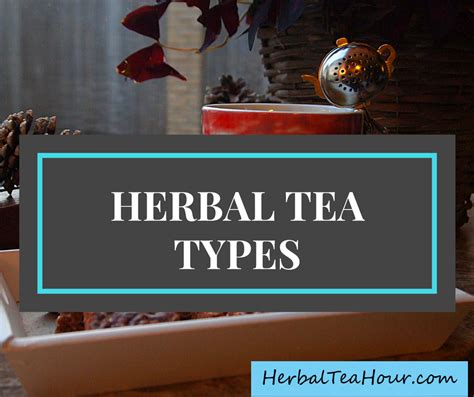 Herbal Tea Types: Discover 20 Popular Types of Tasty Tea