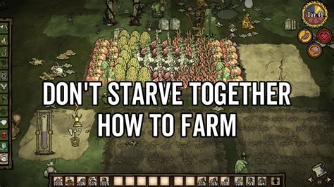 Dont Starve Together How To Farm