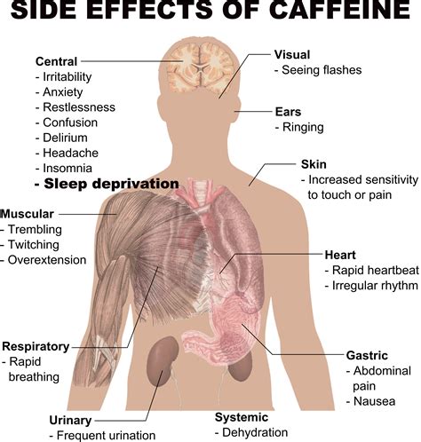 Does Caffeine Help Headaches | Examples and Forms