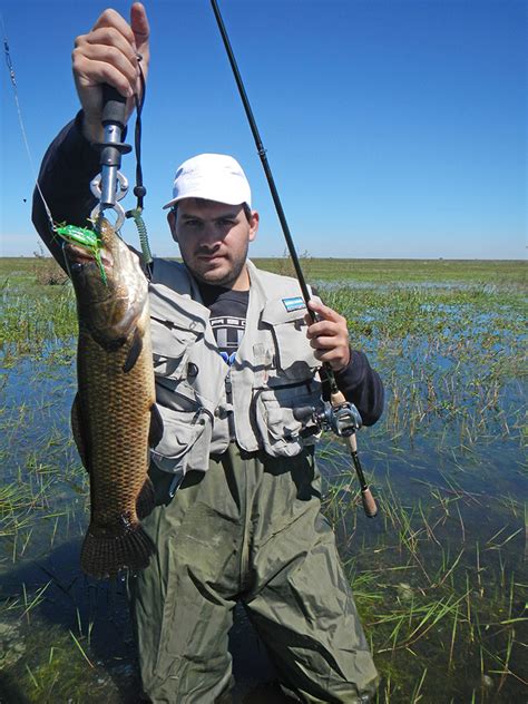 San Pedro Lleno De Señuelos ~ Pesca ~