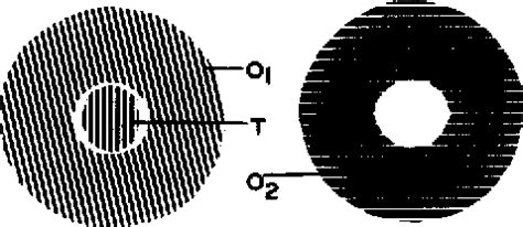 Figure 1 from Tilt illusion during binocular rivalry | Semantic Scholar