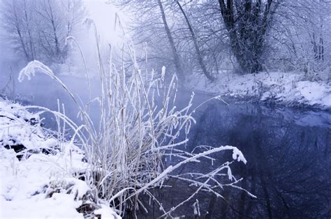 Kostenlose Foto Landschaft Baum Wasser Wald Gras Ast Schnee