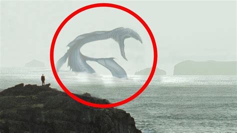 Giant Mysterious Creatures Caught On Camera Youtube