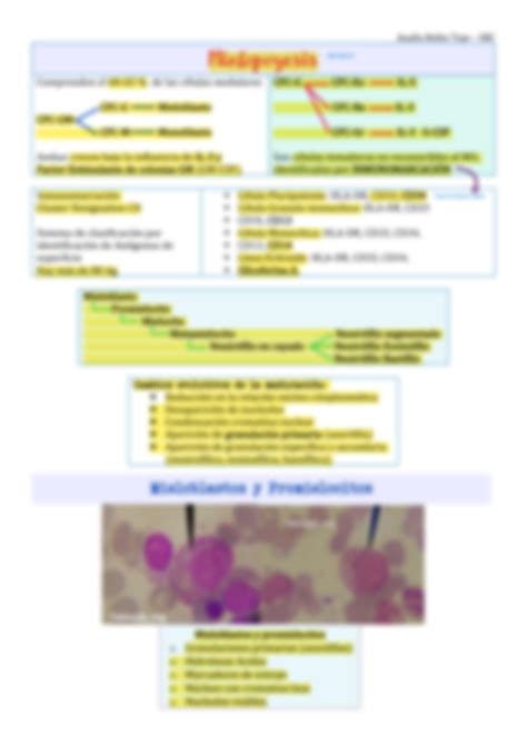 SOLUTION 1 Cl Nica Hematolog A Hematopoyesis Studypool