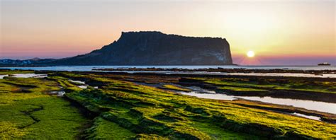 성산일출봉 해시넷