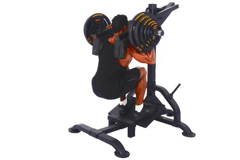 Powertec Fitness Powertec LeverGym Squat Calf Assist America S Top