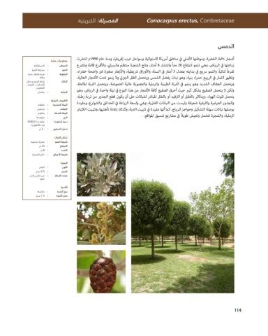 Riyadh Plants Manual Ar Ci Oy الصفحة 115 PDF على الإنترنت