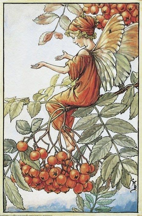 Flower Fairies Of The Autumn Cicely Mary Barker Pinterest