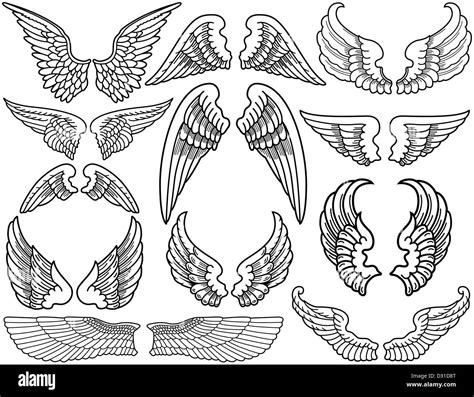 Twelve Sets of Black and White Angel Wings Stock Photo - Alamy