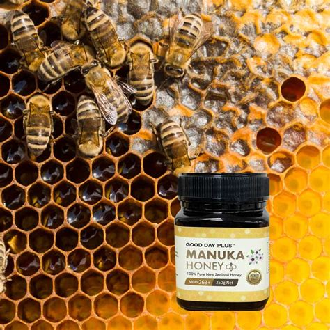 Manuka Honey (MGO 263+) - Good Day Plus