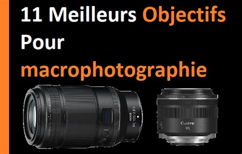 Meilleurs Objectifs Pour La Macrophotographie Topalphastore