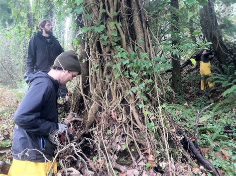 Tackling Threats Outside of Forest Park - Forest Park Conservancy