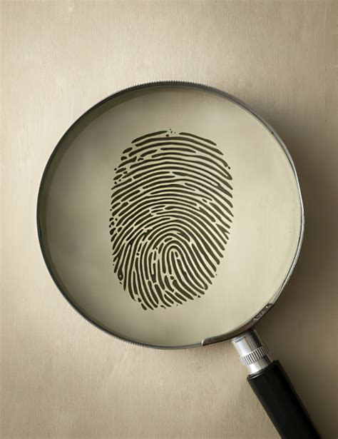 Certified Fingerprinting Services In Florida Notary Plus More