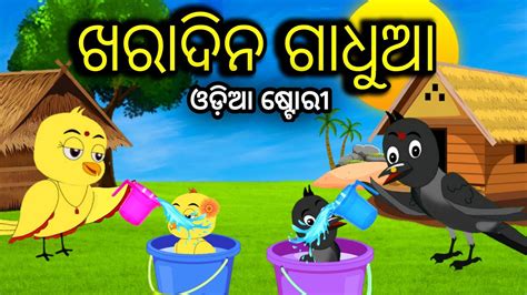 ଖରଦନ ଗଧଆ Tiki Chadhei Odia Gapa Odia Bird Story Chadhei gappa