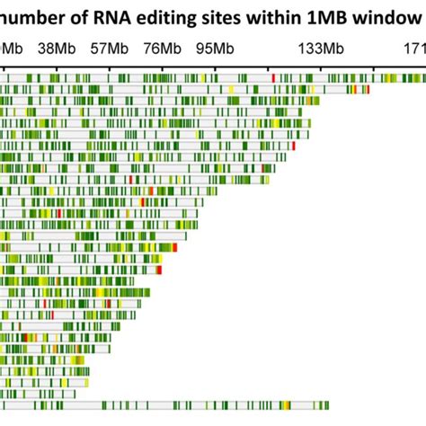 The Distribution Of Rna Editing Sites Throughout The Yak Genomes