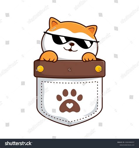 Cute Cat Pocket Orange White Pussy Stock Vector Royalty Free Shutterstock
