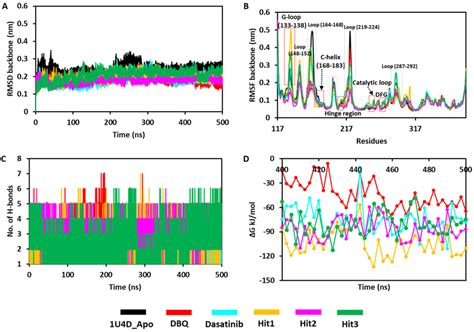 Molecular Dynamic Simulation Analyses A B Backbone RMSD And RMSF