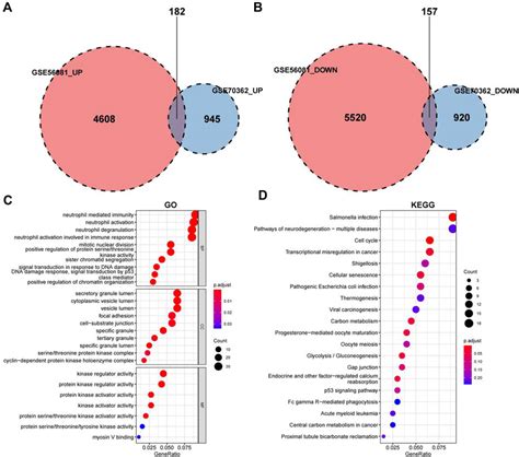 Frontiers Identifification And Validation Of Ferroptosis Signatures