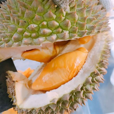 Red Prawn - Durian Delivery Singapore