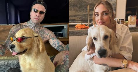 Fedez Il Nuovo Cane Somiglia A Paloma Radio Deejay