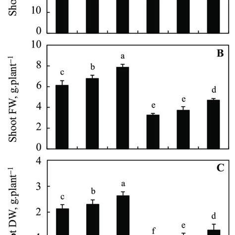 Effect Of The Exogenous Supplementation Of Hydrogen Sulfide And