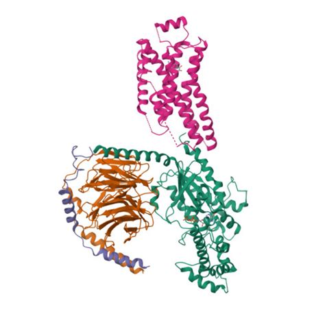 Rcsb Pdb Gge Cryoem Structure Of Beta Adrenergic Receptor In