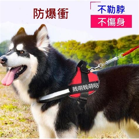 Caiyi 凱溢 小中大型犬防暴衝k9胸背帶 寵物防暴衝帶 狗胸背帶 L Pchome 24h購物