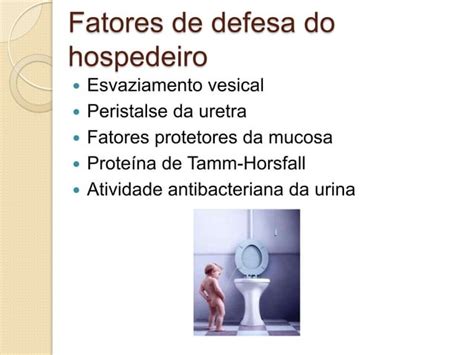 Infecção Do Trato Urinário Na Infância Itu Ppt