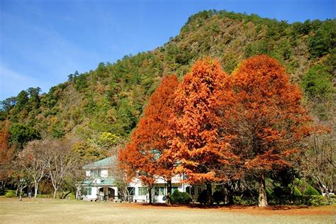 台灣 奧萬大森林遊樂區 介紹、交通地圖、周遭景點、住宿、必買票券總整理｜東南旅遊