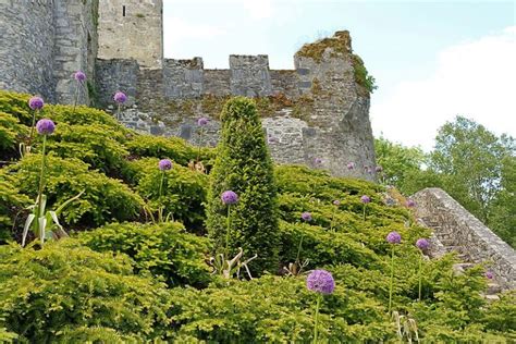 Blarney Castle And Gardens: All You Need To Know - Ireland Travel Guides