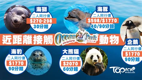 海洋公園推「親親動物月」 最平每人135元約會海獅【有片】