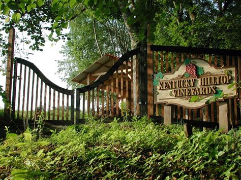 These 10 Beautiful Wineries In Kentucky Are a Must-Visit