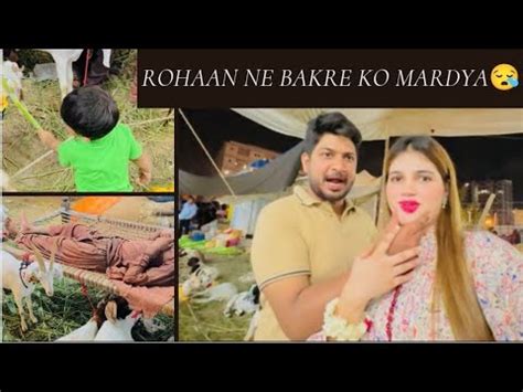 Rohaan Ne Bakre Ko Mardya Rabia Ali Vlog YouTube