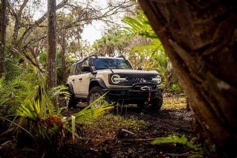 Ford Bronco Everglades rises from the mangroves like a surly gator