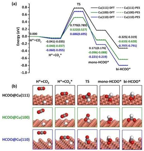 纯计算acs Catalysis：揭示cu表面甲酸盐分解动力学的结构敏感性！ 知乎