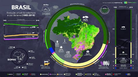 Infográfico Com Evolução Anual Da Cobertura E Uso Da Terra De 1985 A