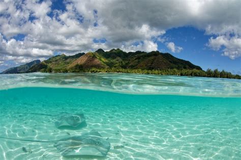 N Chte Polynesien Kreuzfahrt Ab Papeete Tahiti Franz Sisch