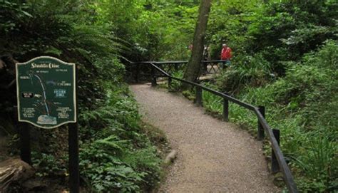 Shanklin Chine Isle Of Wight Nature Trail Waterfall