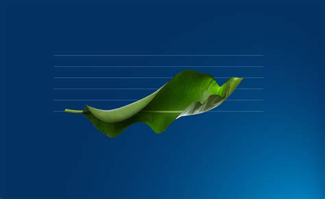 bbva  europes  sustainable bank   worldwide bbva