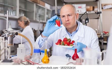 Scientist Checking Fruits Vegetables Harmful Elements Stock Photo