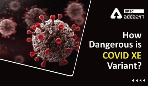 How Dangerous Is COVID XE Variant