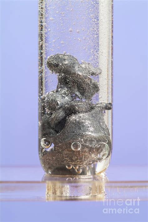 Zinc Reacting With Hydrochloric Acid Photograph By Martyn F Chillmaid