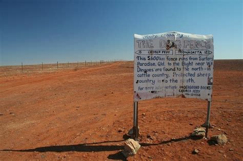 Dingo Fence: Australia’s 5,600Km Dog Fence | Amusing Planet