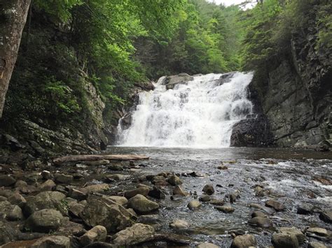 Lee County Hiking Club: Laurel Falls