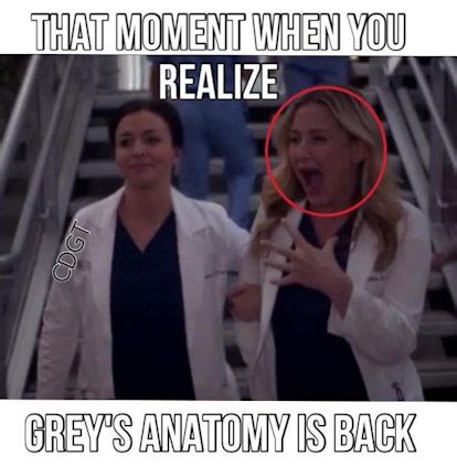 9 'Grey's Anatomy' Memes Only You & "Your Person" Will Understand